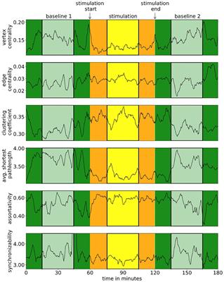 Impact of Transcutaneous Auricular Vagus Nerve Stimulation on Large-Scale Functional Brain Networks: From Local to Global